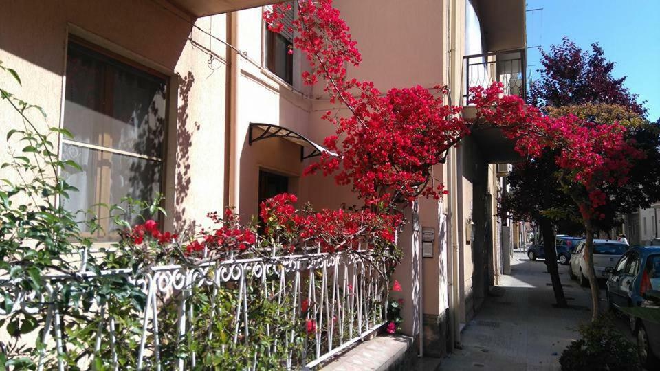 Bed And Breakfast Hibiscus Alghero Exterior photo